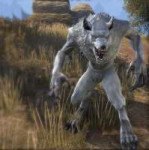 esowhitewerewolf.jpg