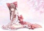 Hakurei.Reimu.full.1062967.jpg