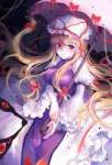 Yakumo.Yukari.full.2015843.jpg