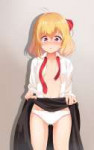 Anime-Rumia-Touhou-Project-pantsu-2445431.jpeg