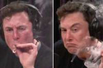 elon-musk-smoked-weed.jpg