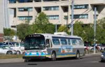 EdmontonBBCtrolleybus192.jpg