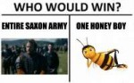 bee.jpg