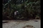 Gilligans Island.webm