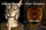 khajiit-meme-59d27a1d58c74.jpg