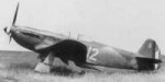 yak3-5.jpg