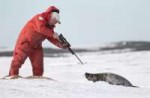 2011-02-24-10-21-06-sealhunt.jpg