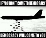 flyDemocracy.jpg