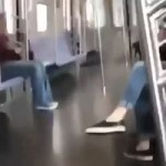 Dog on the train.mp4