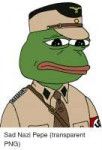 0-sad-nazi-pepe-transparent-png-2727728.png