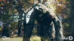 fallout-76-creatures-list-featured-800x445.jpg