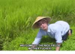 welcome-to-the-rice-fields-motherfucker-19330681.png