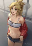 Saber-of-Red-FateApocrypha-Fate-(series)-Anime-4034041.jpeg