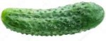 depositphotos6870404-stock-photo-image-of-cucumber-on-white.jpg