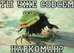 совсемнар.jpg