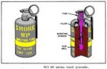 g-Fig1-11.gif