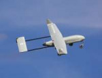 Pd-1uav1.jpg