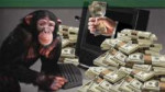 Monkey-with-dollars-KENYA.png